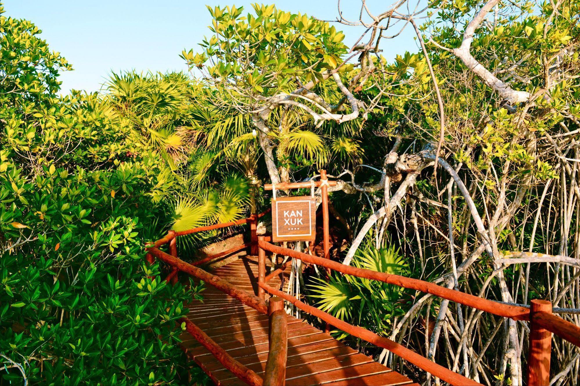 Casa Chable Hotel Punta Allen Luaran gambar